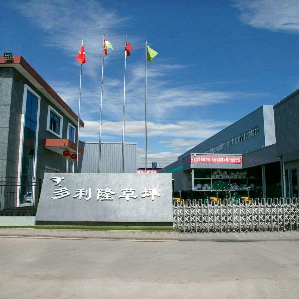 চীন Dorelom artificial grass group co,ltd. সংস্থা প্রোফাইল